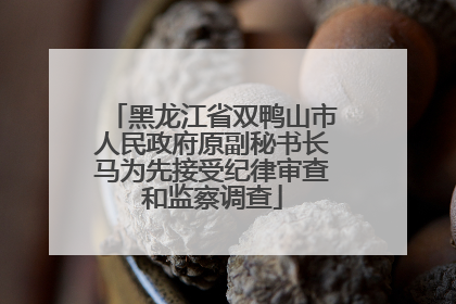 黑龙江省双鸭山市人民政府原副秘书长马为先接受纪律审查和监察调查