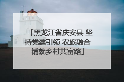 黑龙江省庆安县 坚持党建引领 农旅融合铺就乡村共富路
