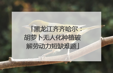 黑龙江齐齐哈尔：胡萝卜无人化种植破解劳动力短缺难题