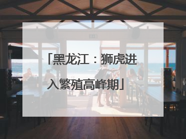 黑龙江：狮虎进入繁殖高峰期