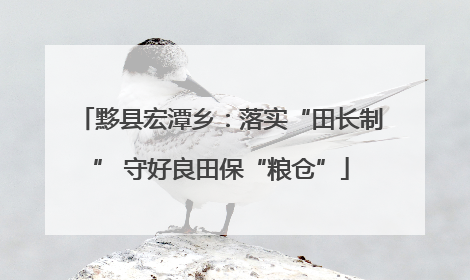 黟县宏潭乡：落实“田长制” 守好良田保“粮仓”