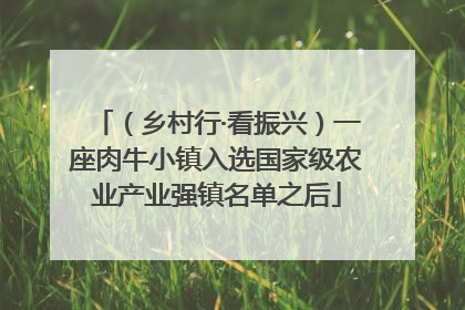 （乡村行·看振兴）一座肉牛小镇入选国家级农业产业强镇名单之后