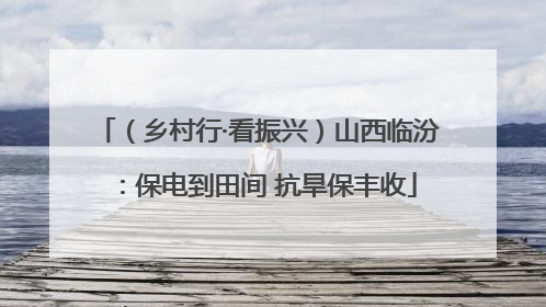 （乡村行·看振兴）山西临汾：保电到田间 抗旱保丰收