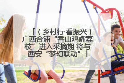 （乡村行·看振兴）广西合浦“香山鸡嘴荔枝”进入采摘期 将与西安“梦幻联动”