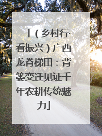 （乡村行·看振兴）广西龙脊梯田：背篓变迁见证千年农耕传统魅力