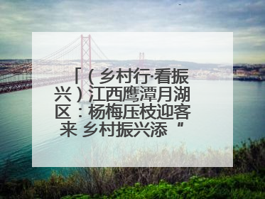 （乡村行·看振兴）江西鹰潭月湖区：杨梅压枝迎客来 乡村振兴添“梅”景