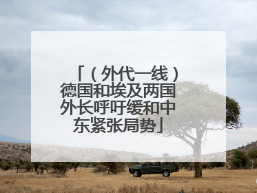 （外代一线）德国和埃及两国外长呼吁缓和中东紧张局势