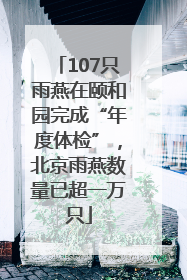 107只雨燕在颐和园完成“年度体检”，北京雨燕数量已超一万只