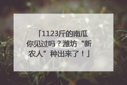 1123斤的南瓜你见过吗？潍坊“新农人”种出来了！