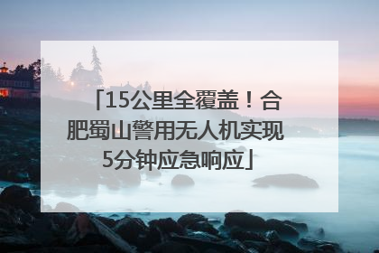 15公里全覆盖！合肥蜀山警用无人机实现5分钟应急响应
