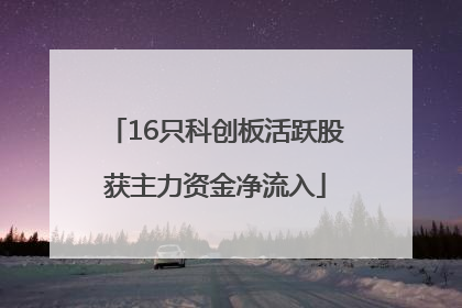 16只科创板活跃股获主力资金净流入