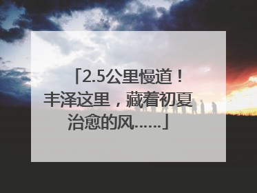 2.5公里慢道！丰泽这里，藏着初夏治愈的风……