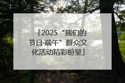 2025“我们的节日·端午”群众文化活动精彩纷呈