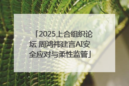2025上合组织论坛 周鸿祎建言AI安全应对与柔性监管