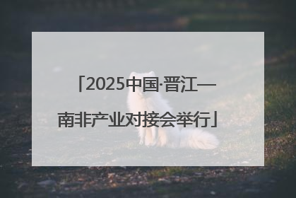 2025中国·晋江—南非产业对接会举行