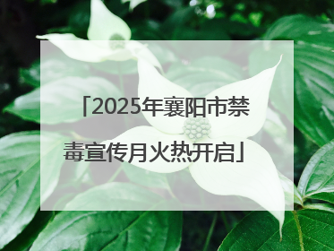 2025年襄阳市禁毒宣传月火热开启