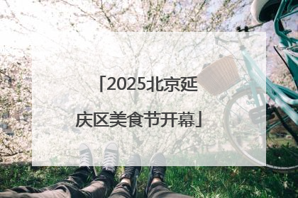 2025北京延庆区美食节开幕