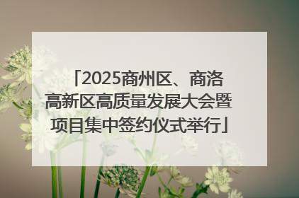2025商州区、商洛高新区高质量发展大会暨项目集中签约仪式举行