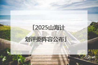 2025山海计划评委阵容公布