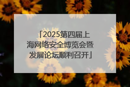 2025第四届上海网络安全博览会暨发展论坛顺利召开