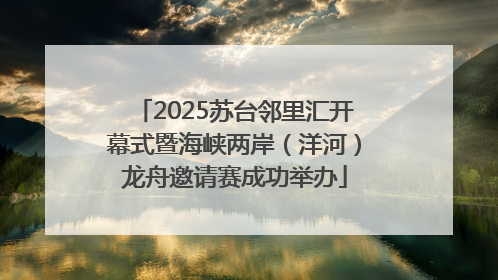 2025苏台邻里汇开幕式暨海峡两岸（洋河）龙舟邀请赛成功举办