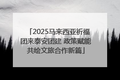 2025马来西亚祈福团来泰安团建 政策赋能共绘文旅合作新篇