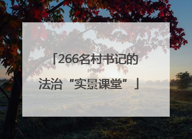 266名村书记的法治“实景课堂”