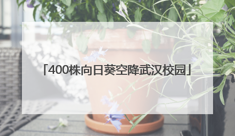 400株向日葵空降武汉校园