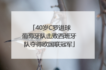 40岁C罗进球 葡萄牙队击败西班牙队夺得欧国联冠军