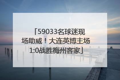 59033名球迷现场助威！大连英博主场1:0战胜梅州客家