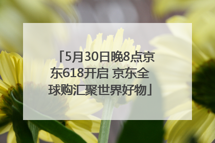 5月30日晚8点京东618开启 京东全球购汇聚世界好物