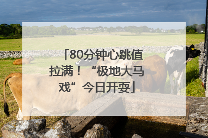 80分钟心跳值拉满！“极地大马戏”今日开耍