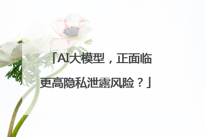 AI大模型，正面临更高隐私泄露风险？