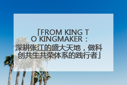 FROM KING TO KINGMAKER：深耕张江的盛大天地，做科创共生共荣体系的践行者