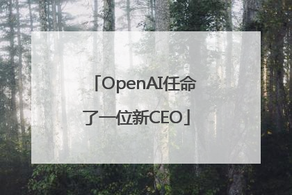 OpenAI任命了一位新CEO